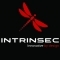 Intrinsec Logo