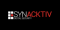 Synacktiv Logo