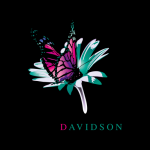 Davidson Consulting Logo